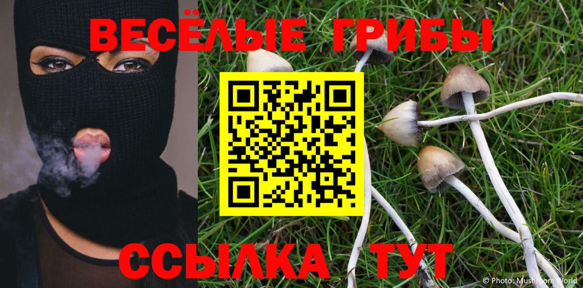 Псилоцибиновые грибы ЛСД Магнитогорск